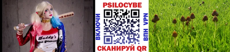 хочу Белёв Псилоцибиновые грибы мицелий